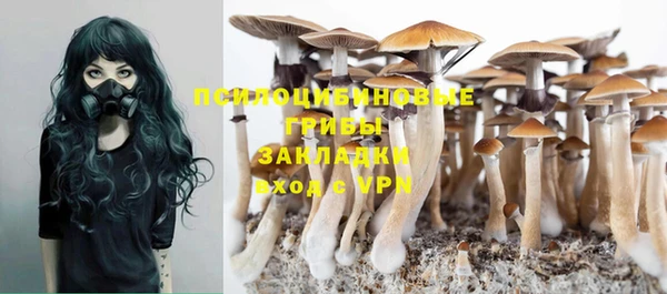 PSILOCYBIN Бугульма